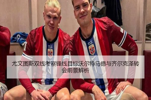 尤文图斯双线考察锋线目标沃尔特马德与齐尔克泽转会前景解析